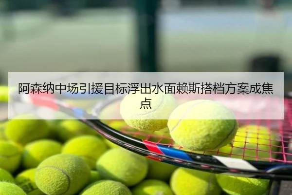 阿森纳中场引援目标浮出水面赖斯搭档方案成焦点