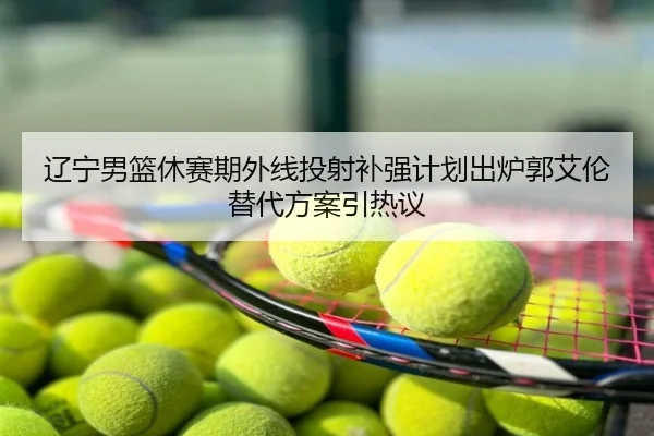辽宁男篮休赛期外线投射补强计划出炉郭艾伦替代方案引热议