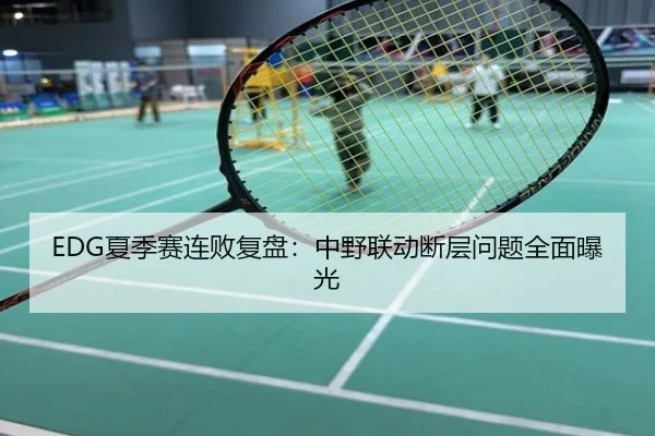 EDG夏季赛连败复盘：中野联动断层问题全面曝光
